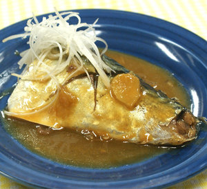Miso mackerel